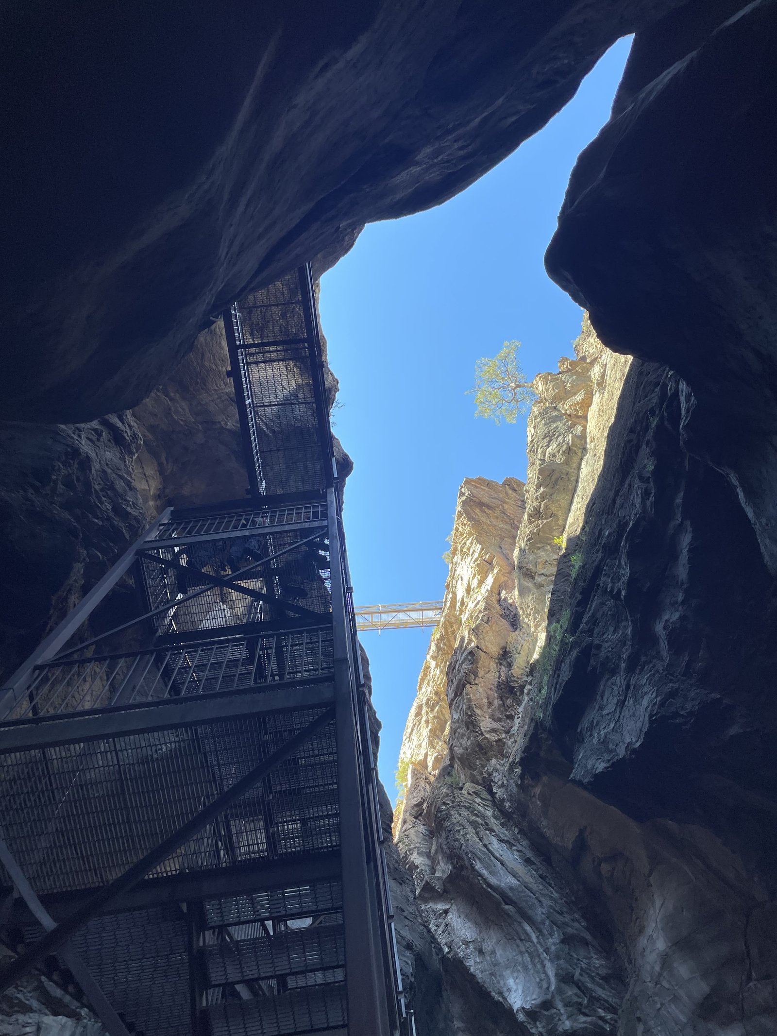 Ouray Yoga Retreat